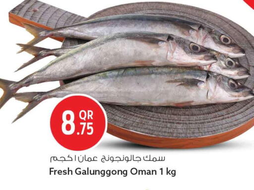 available at Safari Hypermarket in Qatar - Umm Salal