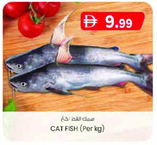 available at K M Trading  in UAE - Sharjah / Ajman