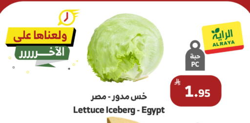 Lettuce from Egypt available at Al Raya in KSA, Saudi Arabia, Saudi - Ta'if