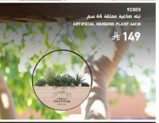 available at SACO in KSA, Saudi Arabia, Saudi - Hafar Al Batin