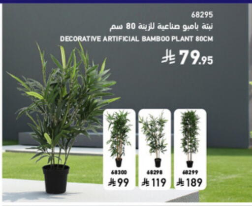 available at ساكو in مملكة العربية السعودية, السعودية, سعودية - سكاكا