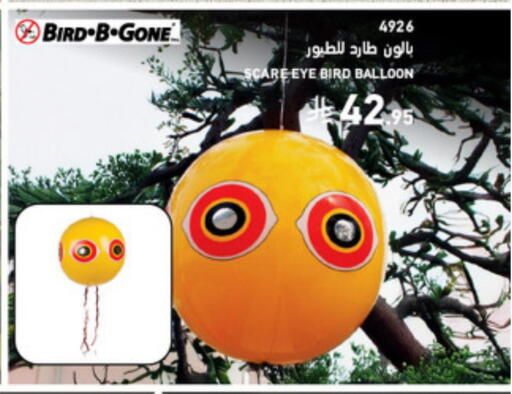 available at SACO in KSA, Saudi Arabia, Saudi - Al Bahah