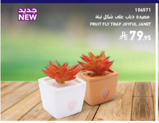 available at SACO in KSA, Saudi Arabia, Saudi - Abha