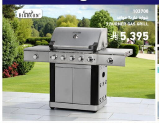 available at SACO in KSA, Saudi Arabia, Saudi - Buraidah