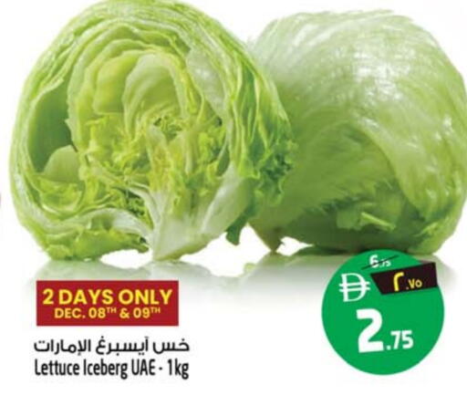 Lettuce available at سفاري هايبرماركت in الإمارات العربية المتحدة , الامارات - دبي