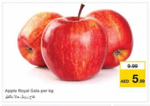 Apple available at نستو هايبرماركت in الإمارات العربية المتحدة , الامارات - الشارقة / عجمان