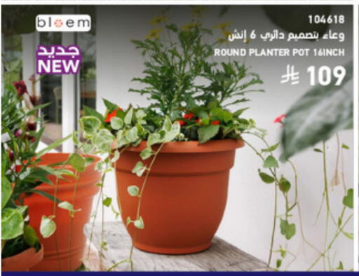 available at SACO in KSA, Saudi Arabia, Saudi - Al Khobar