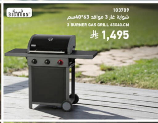 available at SACO in KSA, Saudi Arabia, Saudi - Buraidah