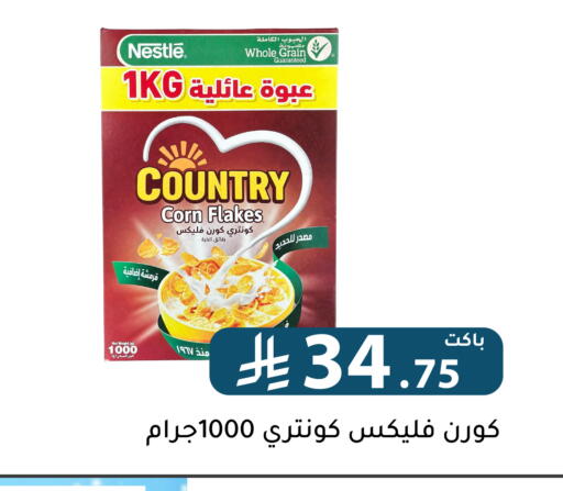 available at Family Discount in KSA, Saudi Arabia, Saudi - Riyadh