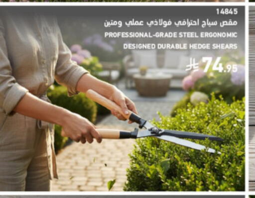 available at SACO in KSA, Saudi Arabia, Saudi - Medina