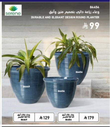available at SACO in KSA, Saudi Arabia, Saudi - Al-Kharj