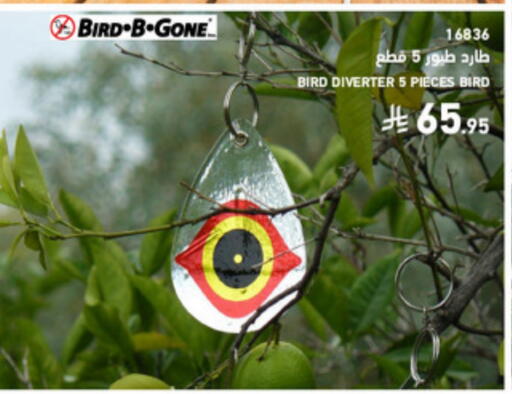 available at SACO in KSA, Saudi Arabia, Saudi - Al Bahah