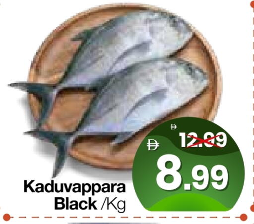 available at هايبر ماركت المدينة in الإمارات العربية المتحدة , الامارات - أبو ظبي