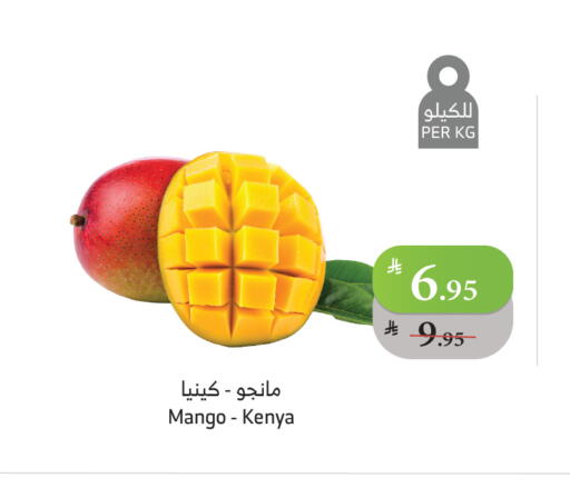 Mango from Kenya available at Al Raya in KSA, Saudi Arabia, Saudi - Jazan