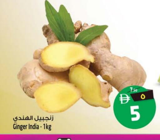 Ginger from India available at سفاري هايبرماركت in الإمارات العربية المتحدة , الامارات - دبي