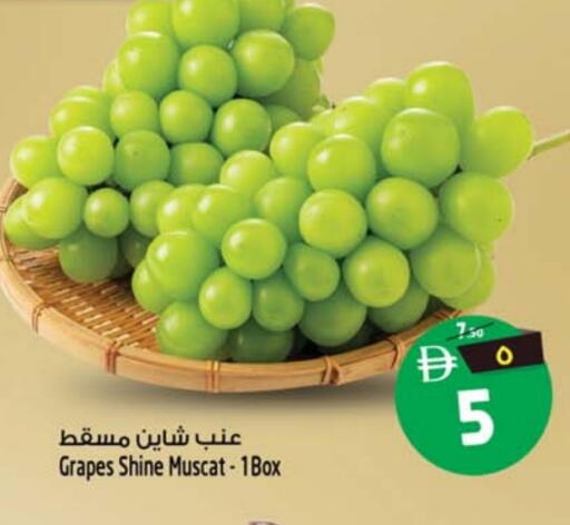 Grapes available at سفاري هايبرماركت in الإمارات العربية المتحدة , الامارات - دبي