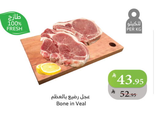 available at Al Raya in KSA, Saudi Arabia, Saudi - Abha