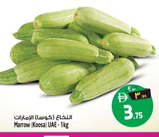 Marrow available at سفاري هايبرماركت in الإمارات العربية المتحدة , الامارات - دبي