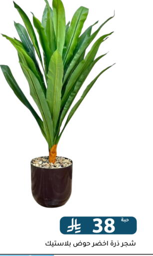 available at Family Discount in KSA, Saudi Arabia, Saudi - Riyadh