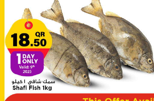 available at Marza Hypermarket in Qatar - Umm Salal