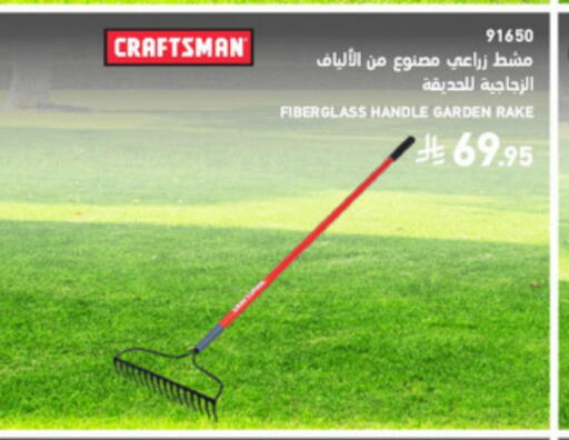 available at SACO in KSA, Saudi Arabia, Saudi - Medina