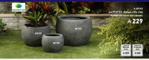 available at SACO in KSA, Saudi Arabia, Saudi - Hafar Al Batin