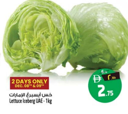 Lettuce available at SAFARI HYPERMARKET  in UAE - Ras al Khaimah