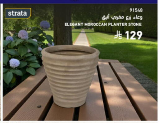 available at SACO in KSA, Saudi Arabia, Saudi - Hail