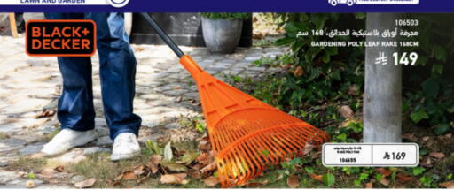 available at SACO in KSA, Saudi Arabia, Saudi - Medina