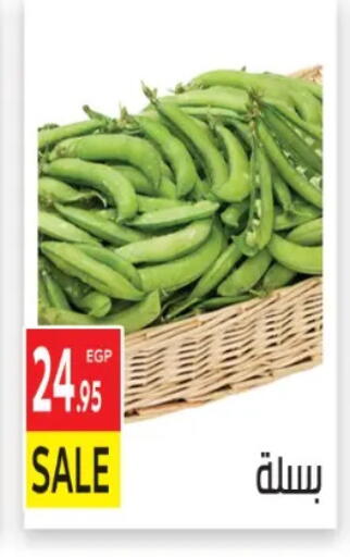 available at المحلاوي ماركت in Egypt - القاهرة