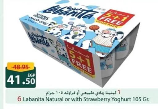 Strawberry available at Spinneys  in Egypt - Cairo