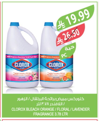 Orange available at المزرعة in مملكة العربية السعودية, السعودية, سعودية - أبها