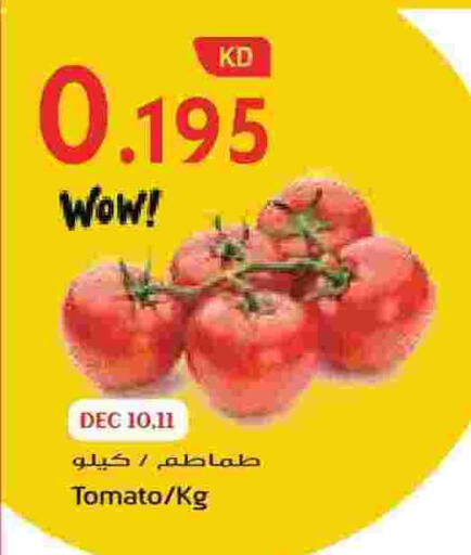 Tomato available at جراند هايبر in الكويت - محافظة الجهراء