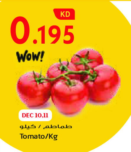 Tomato available at Grand Costo in Kuwait - Ahmadi Governorate