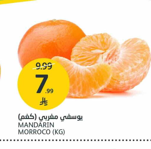 Mandarin available at AlJazera Shopping Center in KSA, Saudi Arabia, Saudi - Riyadh