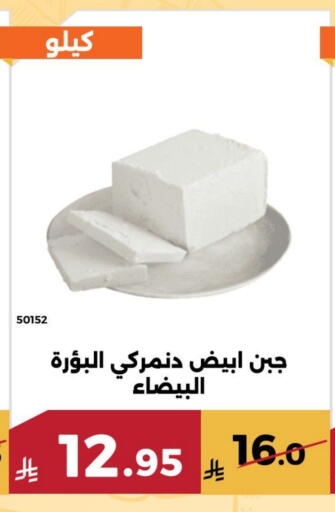 available at Forat Garden in KSA, Saudi Arabia, Saudi - Mecca