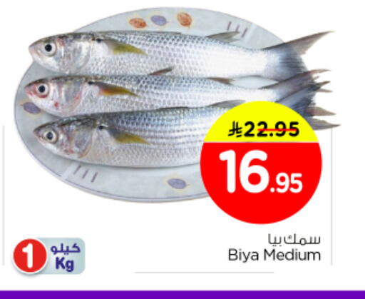 available at Nesto in KSA, Saudi Arabia, Saudi - Al Majmaah