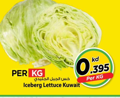 Lettuce from Kuwait available at Mark & Save in Kuwait - Kuwait City