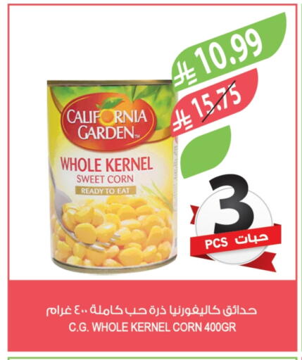 available at Farm  in KSA, Saudi Arabia, Saudi - Qatif