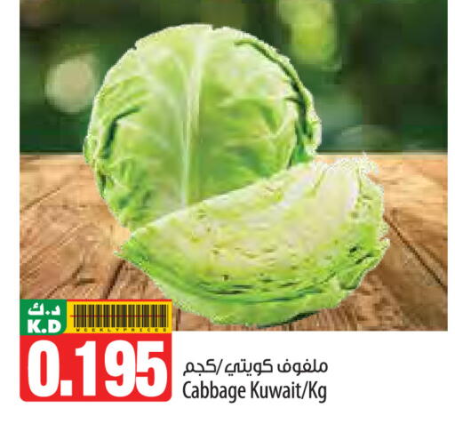Mango Cabbage from Kuwait available at Mango Hypermarket  in Kuwait - Ahmadi Governorate