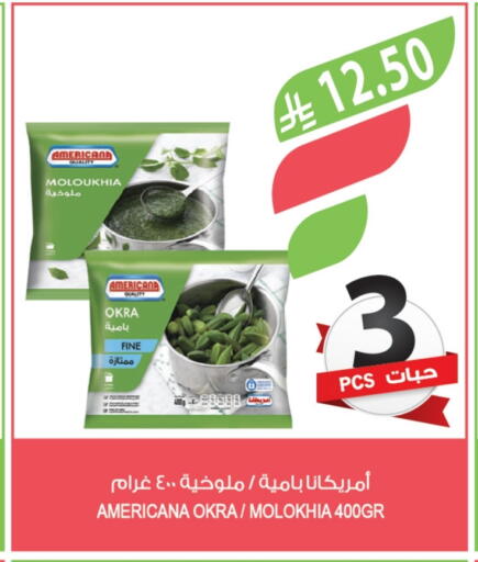 Okra available at Farm  in KSA, Saudi Arabia, Saudi - Jazan