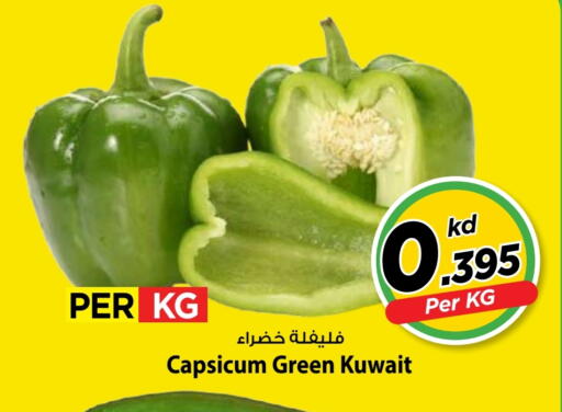 Capsicum from Kuwait available at Mark & Save in Kuwait - Kuwait City