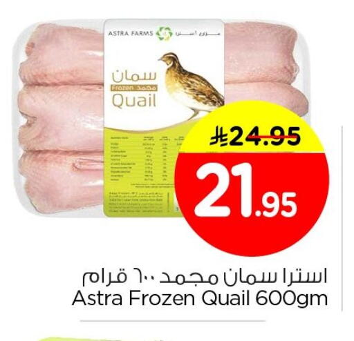 available at Nesto in KSA, Saudi Arabia, Saudi - Al Hasa
