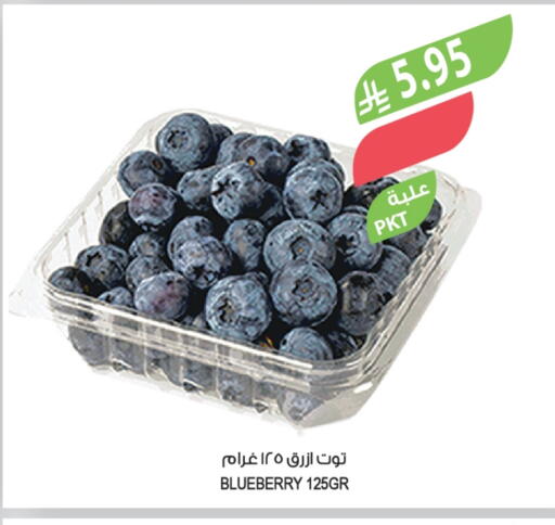 Blueberry BlueBerry available at Farm  in KSA, Saudi Arabia, Saudi - Abha