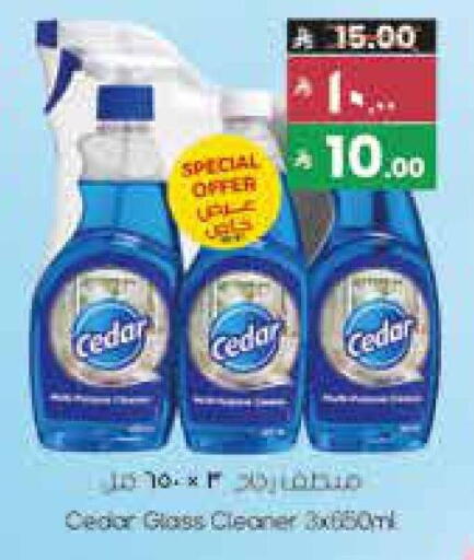 available at ستي فلاور in مملكة العربية السعودية, السعودية, سعودية - نجران