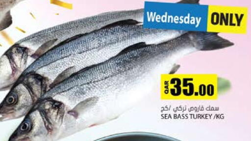 available at Grand Hypermarket in Qatar - Umm Salal
