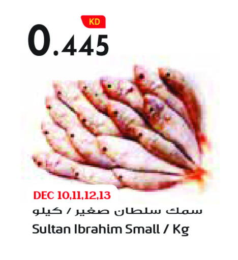 available at Grand Costo in Kuwait - Ahmadi Governorate