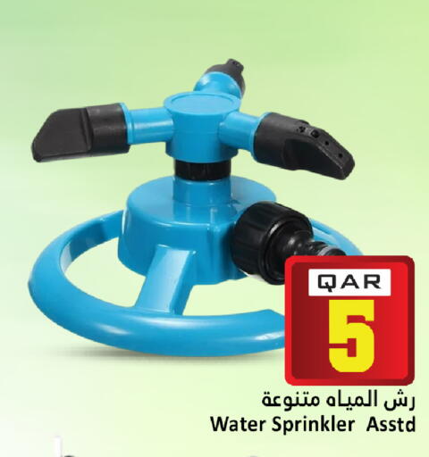 available at دانة هايبرماركت in قطر - الريان