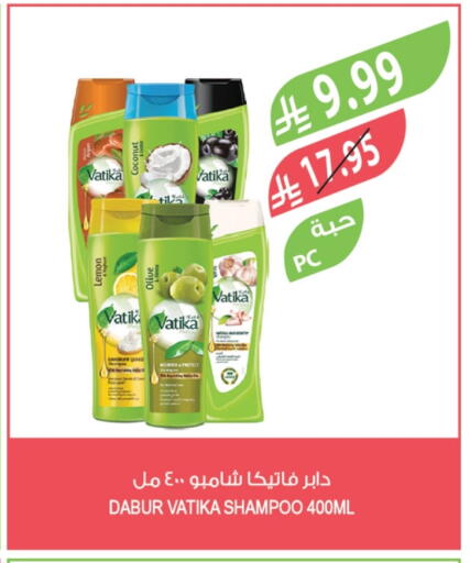 Coconut available at Farm  in KSA, Saudi Arabia, Saudi - Al Khobar