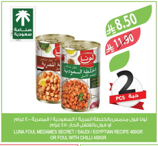 Chilli available at Farm  in KSA, Saudi Arabia, Saudi - Najran